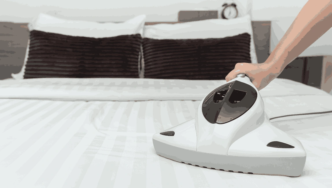 Professional Mattress Cleaning Strathewen
